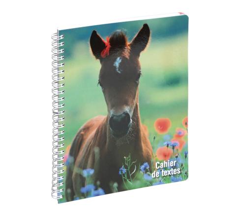 Cahier de textes Exacompta 99916E avec reliure spirale et motifs animaux. Format pratique pour noter devoirs et leçons. Idéal pour l'organisation scolaire des élèves.